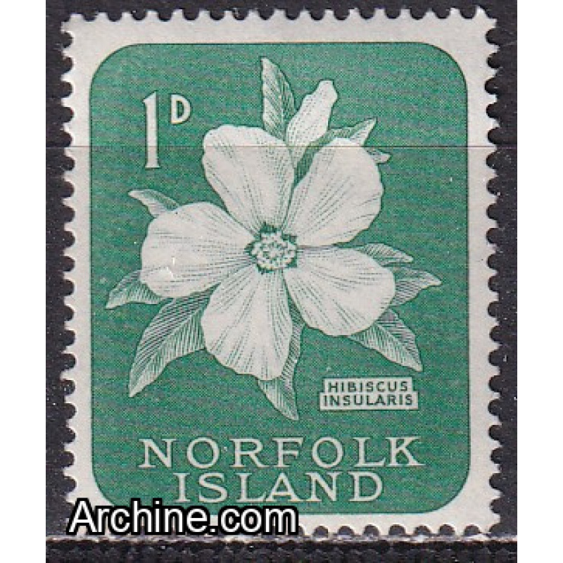 norfolk - n° 26  neuf** - 1960
