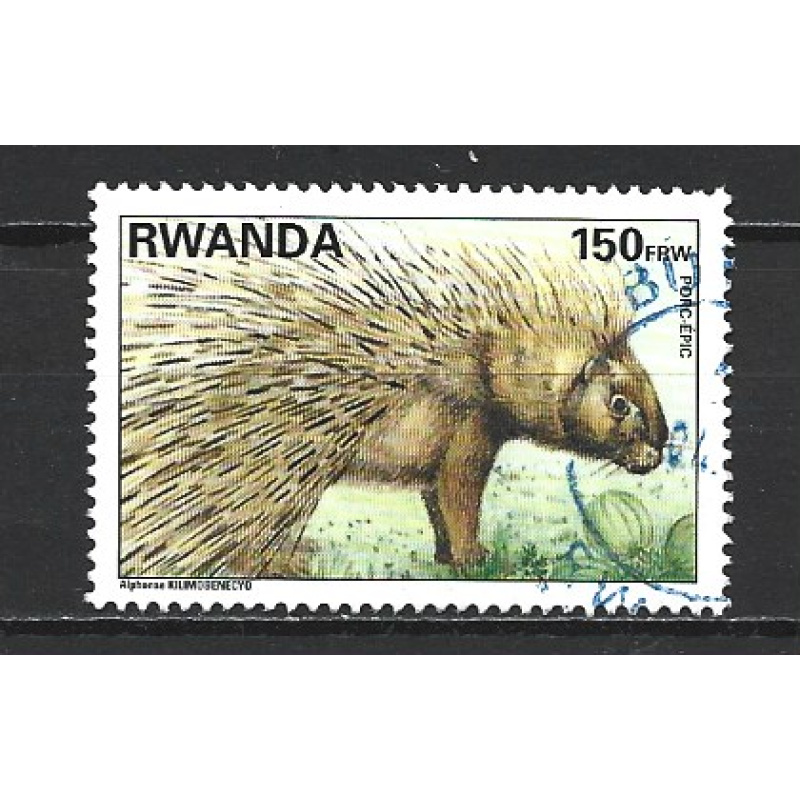Rwanda - porc-épic