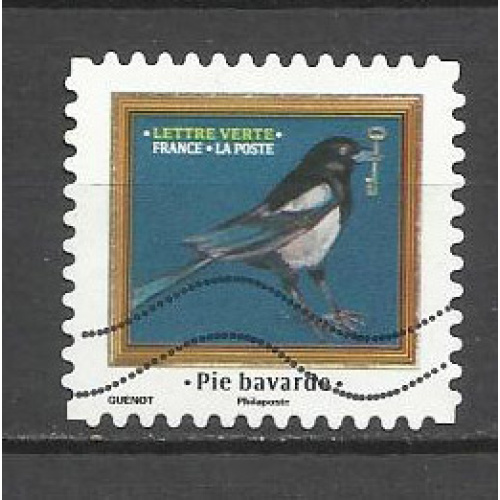 FRANCE 2025 -CVC- Mélodies d'Oiseaux PIE