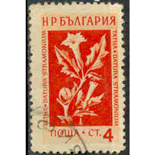 Bulgarie 1953 - Plante médicinale: datura stramonium - YT 771 °