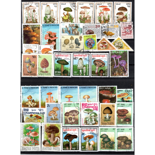 CHAMPIGNONS  très bel ensemble de timbres  oblitérés le scan affranchissement 1.39€ lot 02  02   6