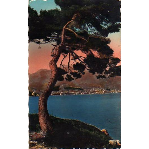 Alpes Maritimes (06) - Menton, CPM, vue depuis le Cap Martin, bords crénelés