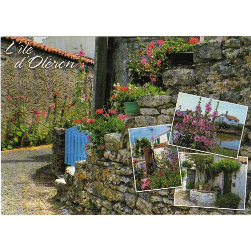 Charente-Maritime (17) - Ile d'Oléron, CPM, vieux puits oléronnais, fleurs, écrite