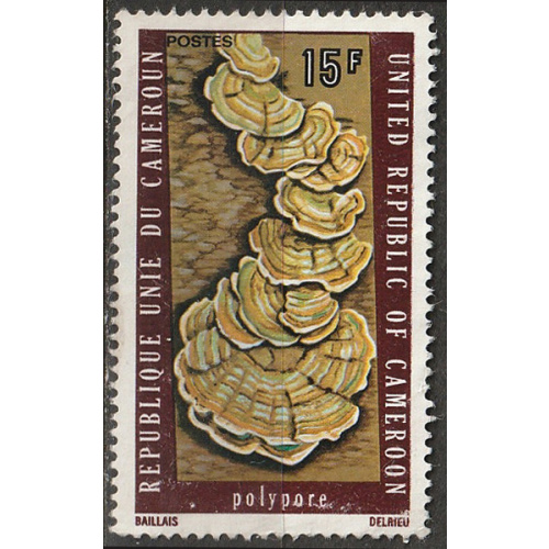 Timbre oblitéré n° 582 (Yvert) Cameroun 1975 - Champignon, polypore