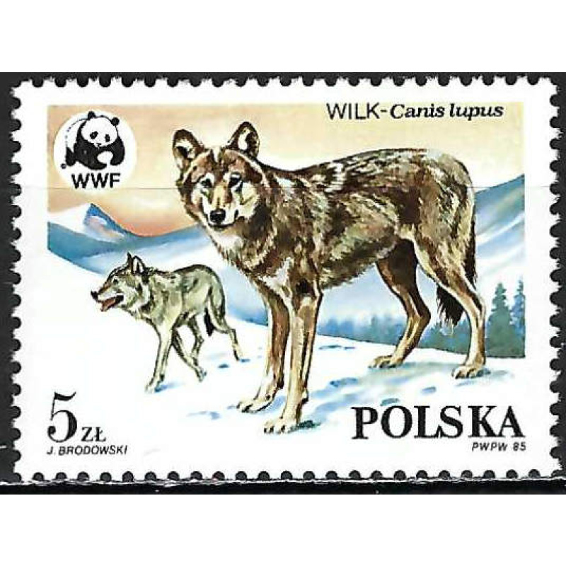 Pologne - 1985 - Y & T n° 2787 - MNH