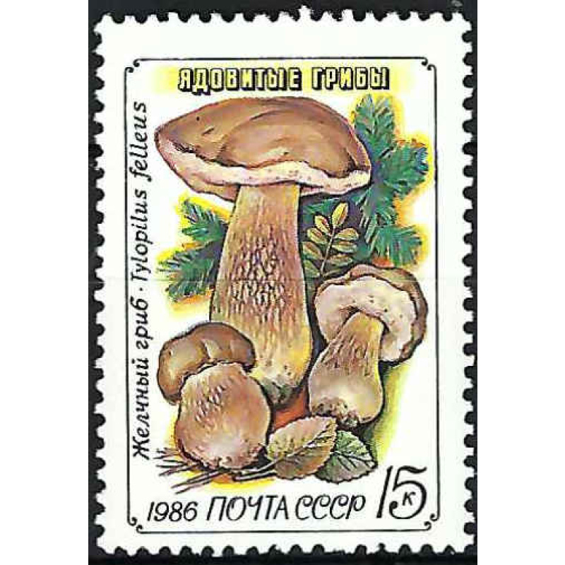 Russie - 1986 - Y & T n° 5307 - MNH