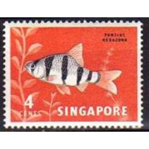 Singapour 1962 - Poisson: barbu (puntius nexazona), neuf - YT 54 **