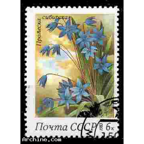 Russie Yvert N°5002 Oblitéré 1983 Fleur Prolesta de siberie