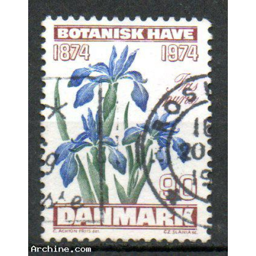 Danemark Yvert N°584 Oblitéré 1974 Fleurs Iris spuria