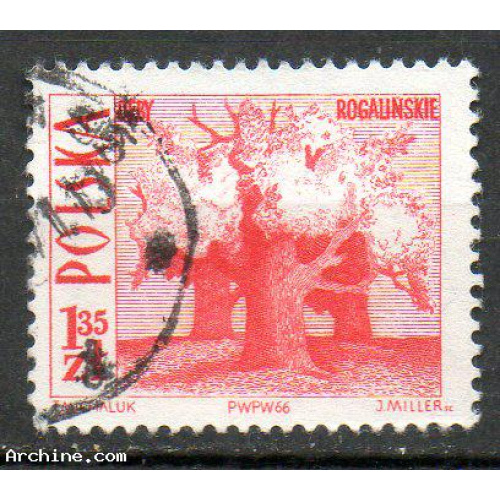 Pologne Yvert N°1561 Oblitéré 1966 Arbres centenaires