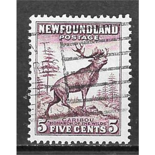 TERRE-NEUVE YT 174