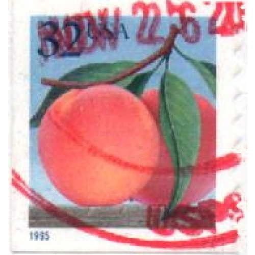 É-U.A/U.S.A 1995 - Pêche, adhésif, Dent. 8¾ sur 2 cotés - YT 2384 °