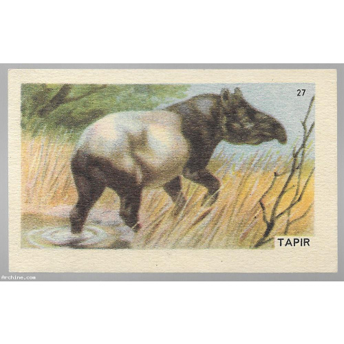 Chromo FrancOrusse N°27 - Tapir