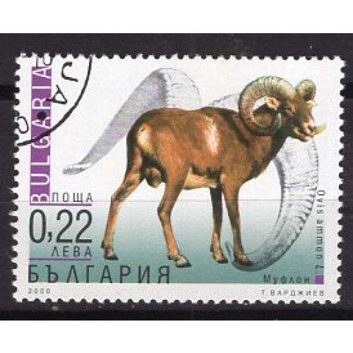 BULGARIE 2000 LE MOUFLON YVERT N° 3582 OBLITERE